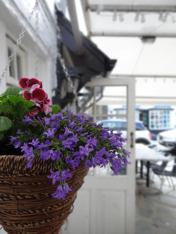 The Slipway B&B Port Isaac Exterior foto